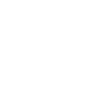 Curriculum